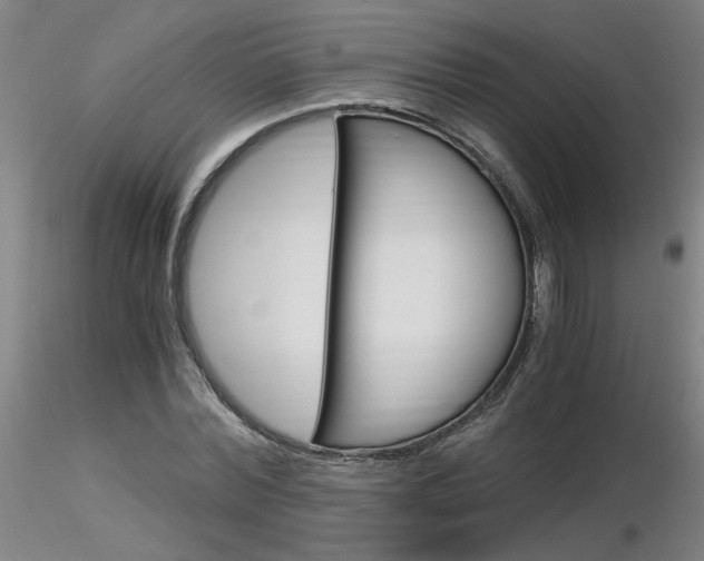 X0000116800780200912181117
