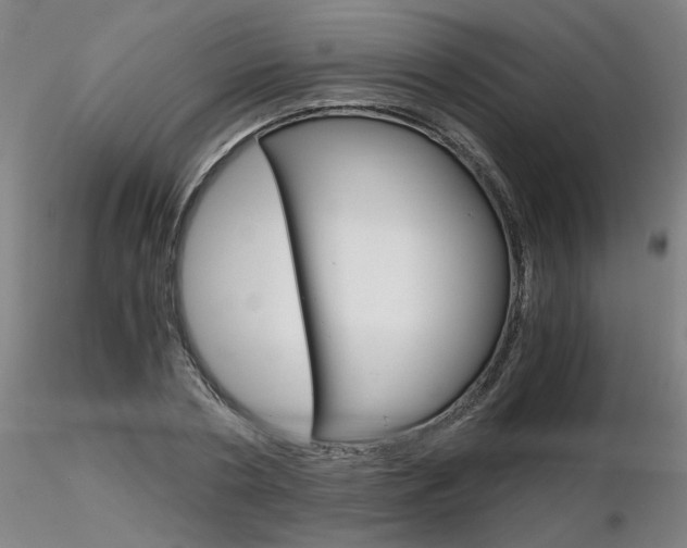 X0000116800786200912181117