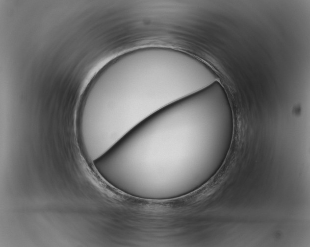 X0000116800788200912181117