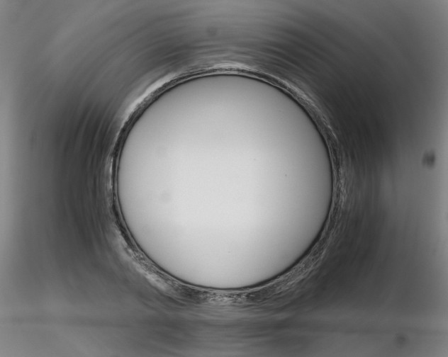 X0000116800790200912181116