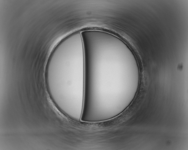 X0000116800791200912181116
