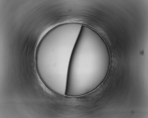X0000116800792200912181116