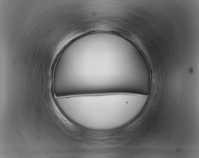 X0000116800795200912181116