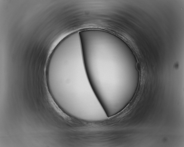 X0000116800796200912181116