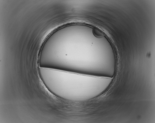 X0000116800799200912181116