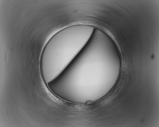 X0000116800803200912181116