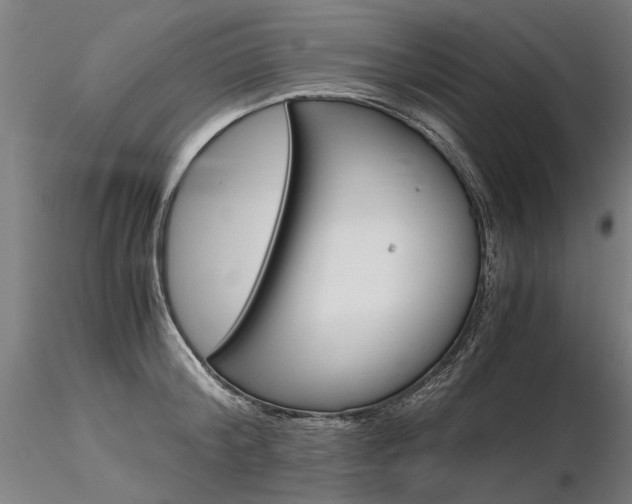 X0000116800804200912181116