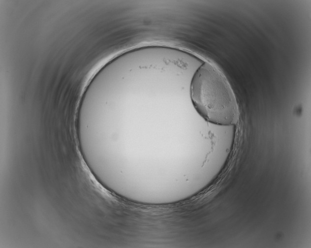 X0000116800807200912181116
