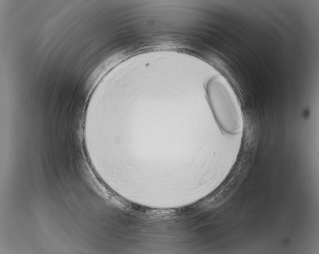 X0000116800810200912181116