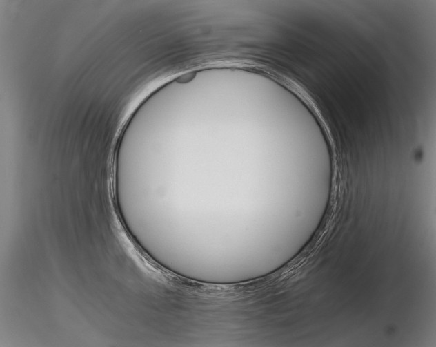X0000116800811200912181116