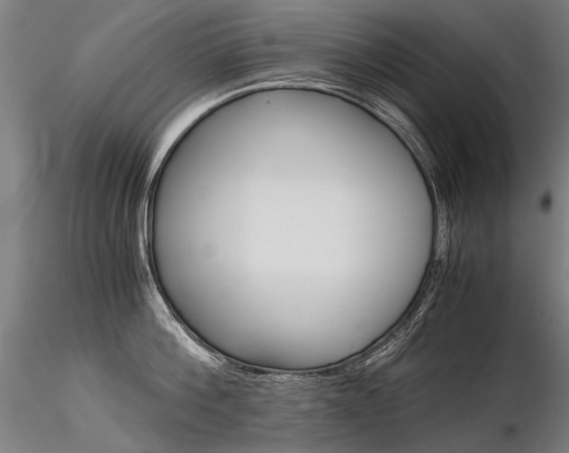 X0000116800812200912181116