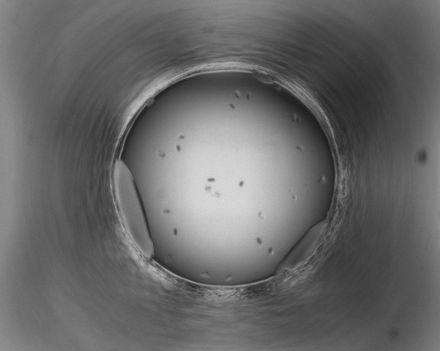 X0000116800813200912181116