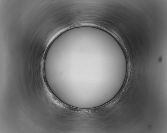X0000116800814200912181116