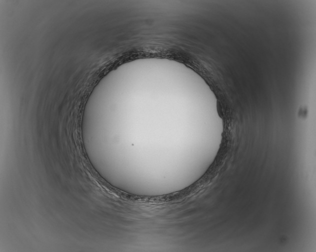 X0000116800817200912181115