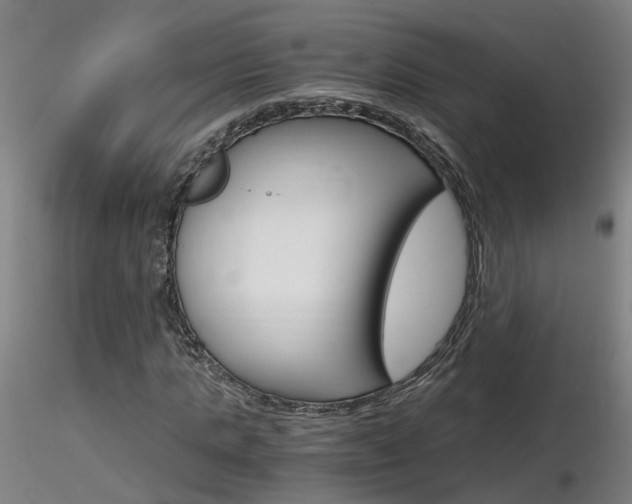 X0000116800821200912181116