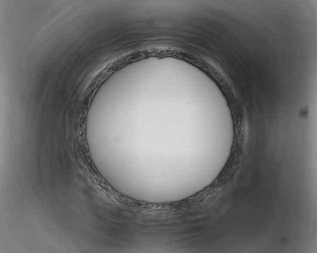 X0000116800823200912181116