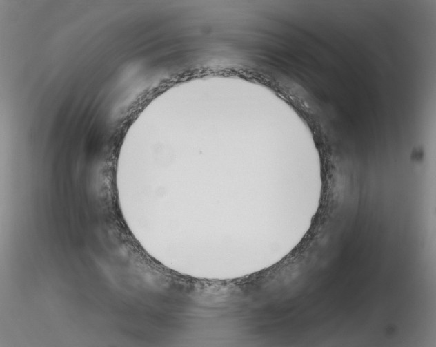 X0000116800824200912181116