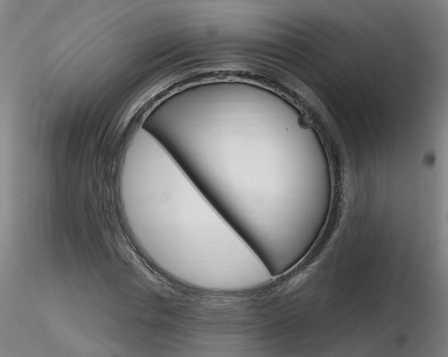 X0000116800826200912181116