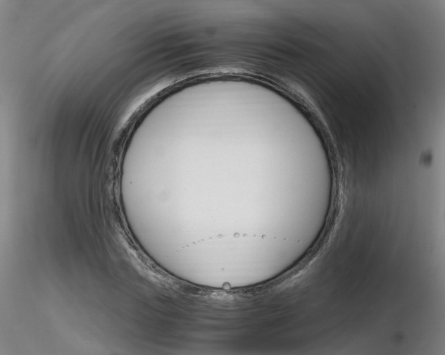 X0000116800827200912181116