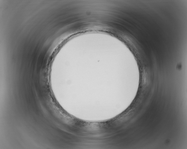 X0000116800828200912181116