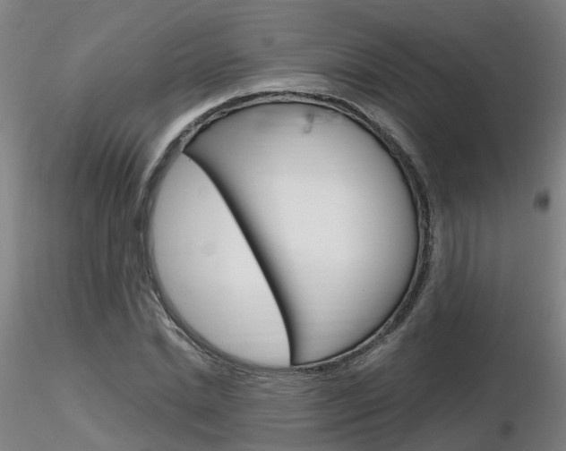 X0000116800830200912181116