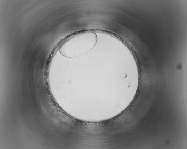 X0000116800832200912181116