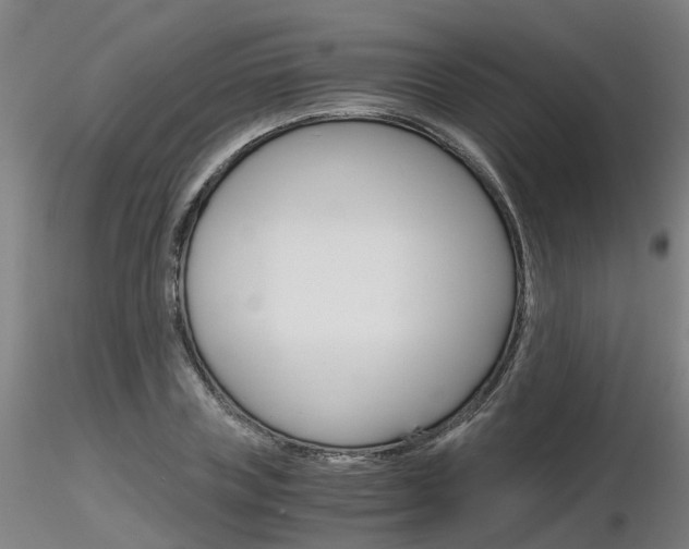 X0000116800835200912181116