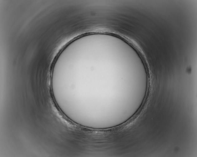 X0000116800839200912181116