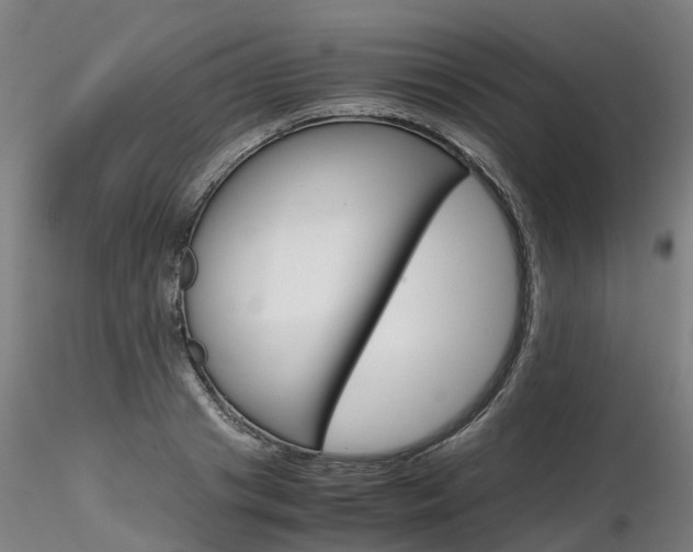 X0000116800841200912181116