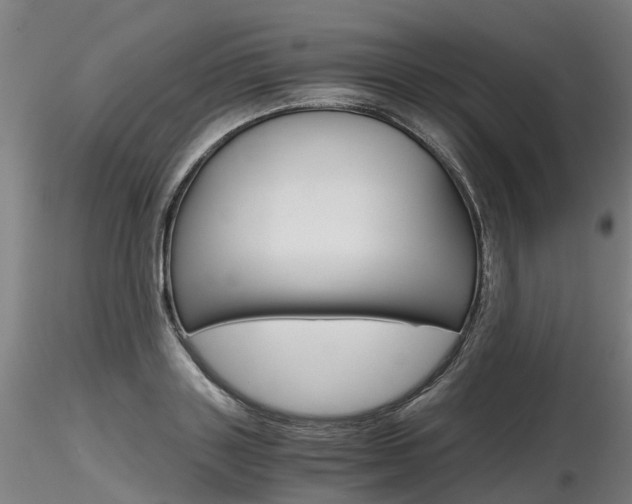 X0000116800843200912181116