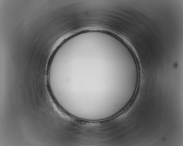 X0000116800845200912181116
