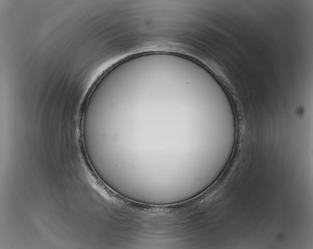X0000116800846200912181116