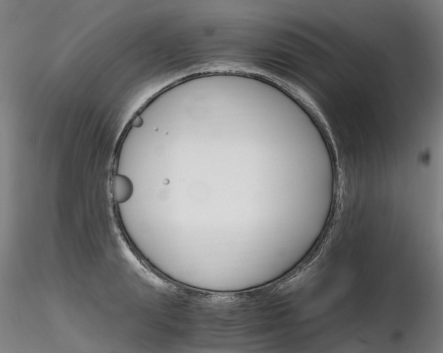 X0000116800847200912181116