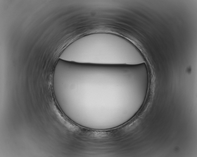 X0000116800849200912181116