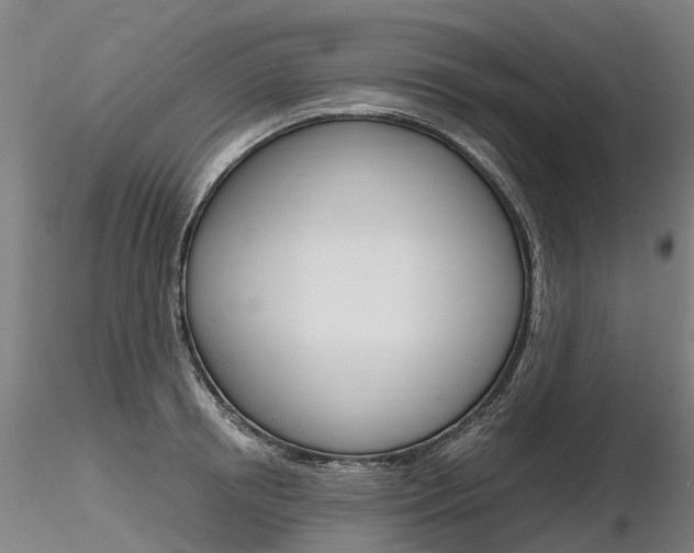 X0000116800850200912181116