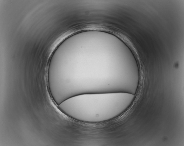 X0000116800855200912181116