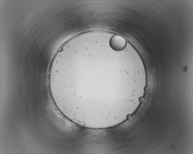 X0000116800856200912181116