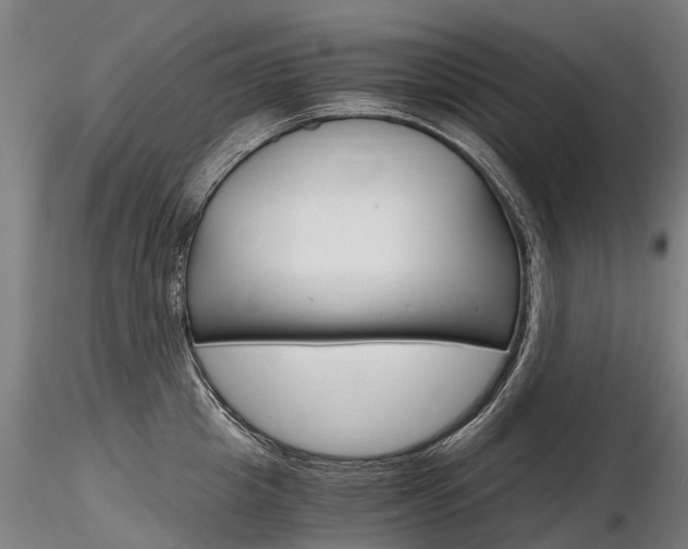 X0000116800857200912181116