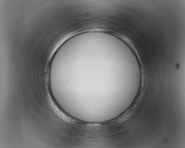 X0000116800859200912181116