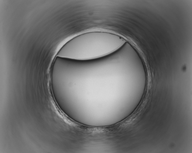 X0000116800862200912181116