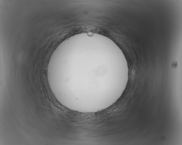 X0000116800865200912181115