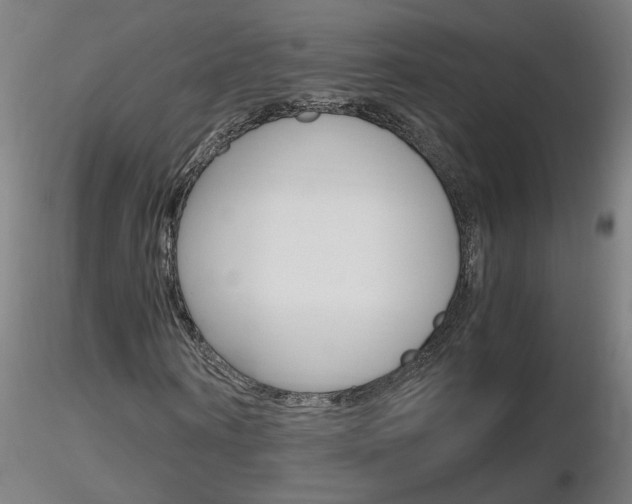 X0000116800866200912181115