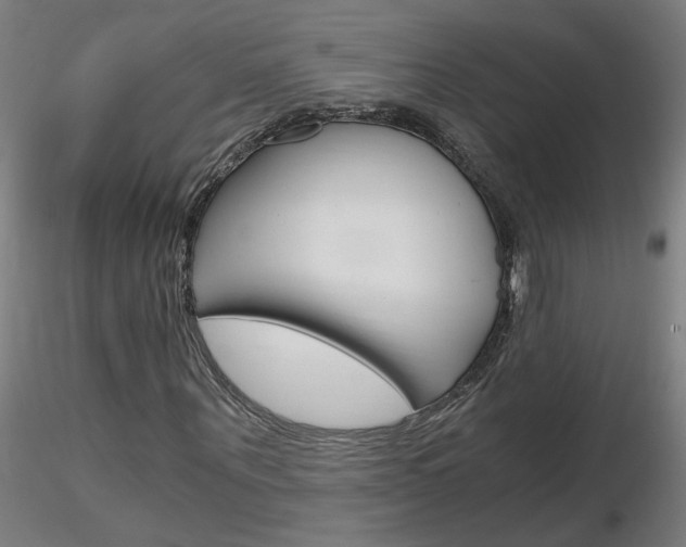 X0000116800867200912181115