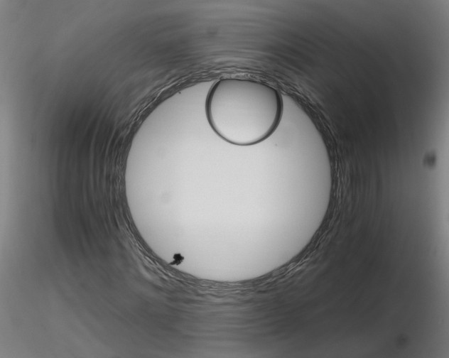 X0000116800868200912181115