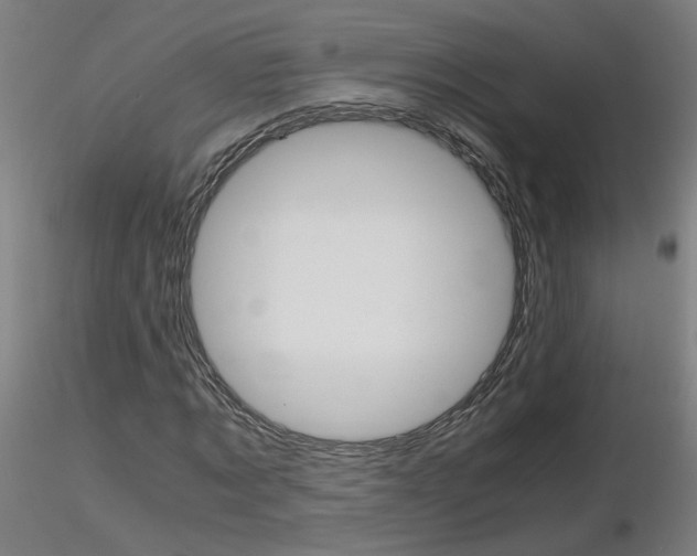 X0000116800869200912181115