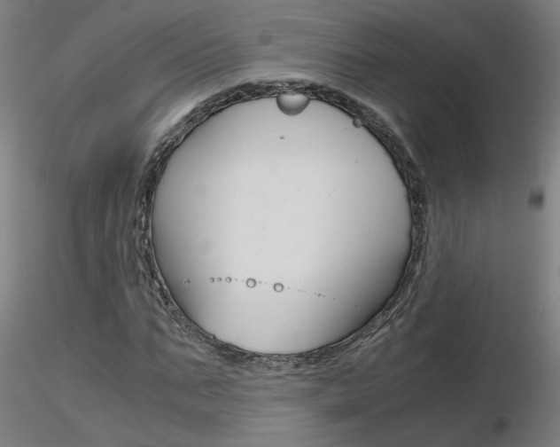 X0000116800871200912181115