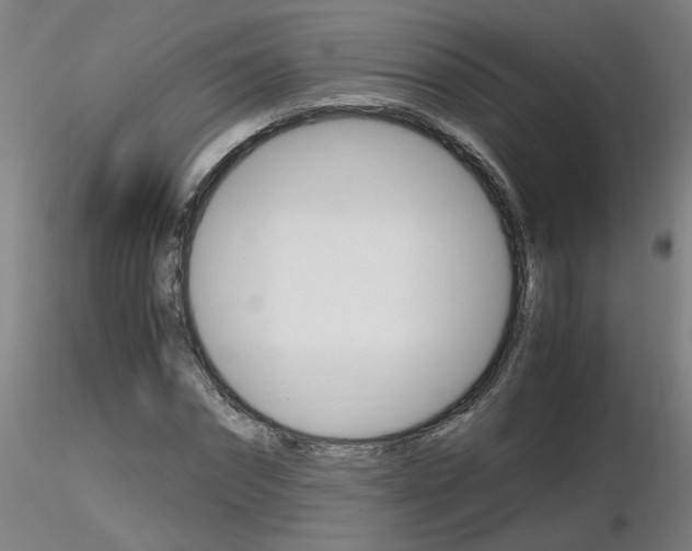 X0000116800874200912181115