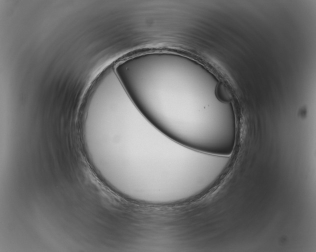 X0000116800876200912181115