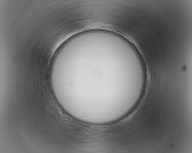 X0000116800877200912181115