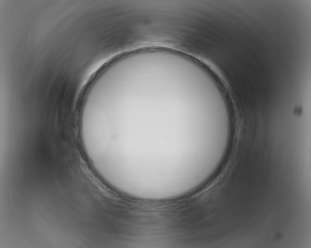 X0000116800878200912181115
